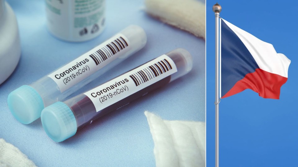 Koronavirus v Česku